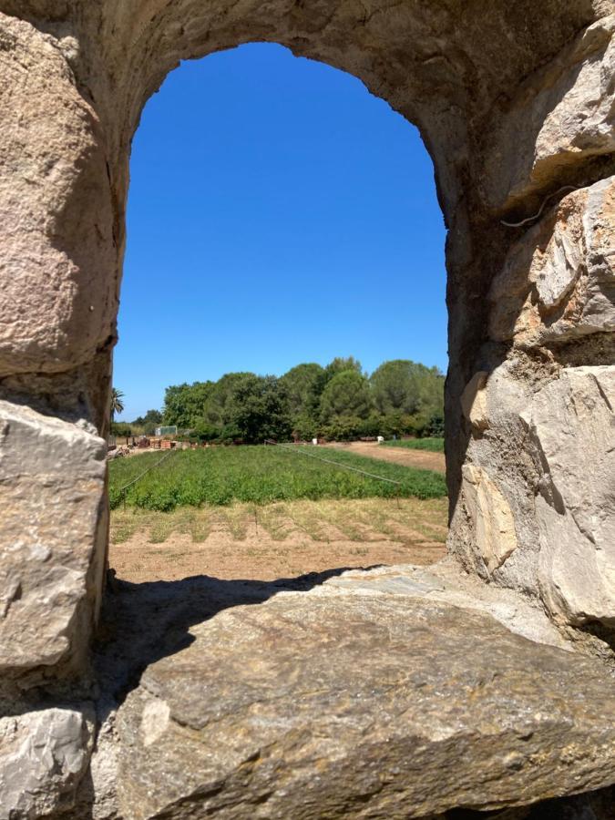 Gite Encore Un Soir Hyères Esterno foto